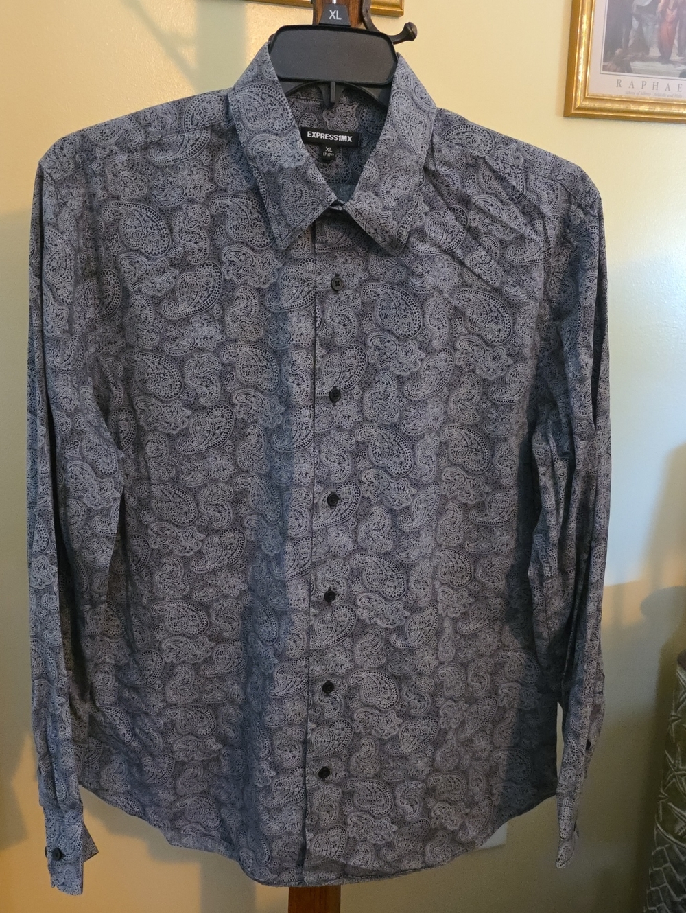 Express Men’s Paisley Button-Up Shirt — Blue/Gray